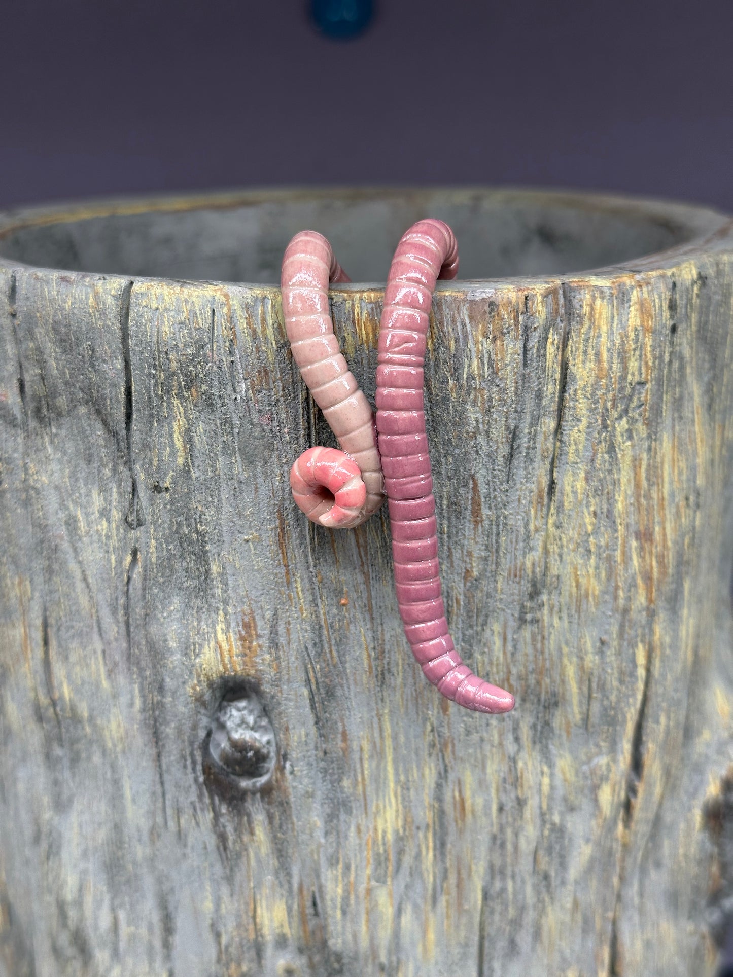 Cutie Crawler Pot Buddy 9
