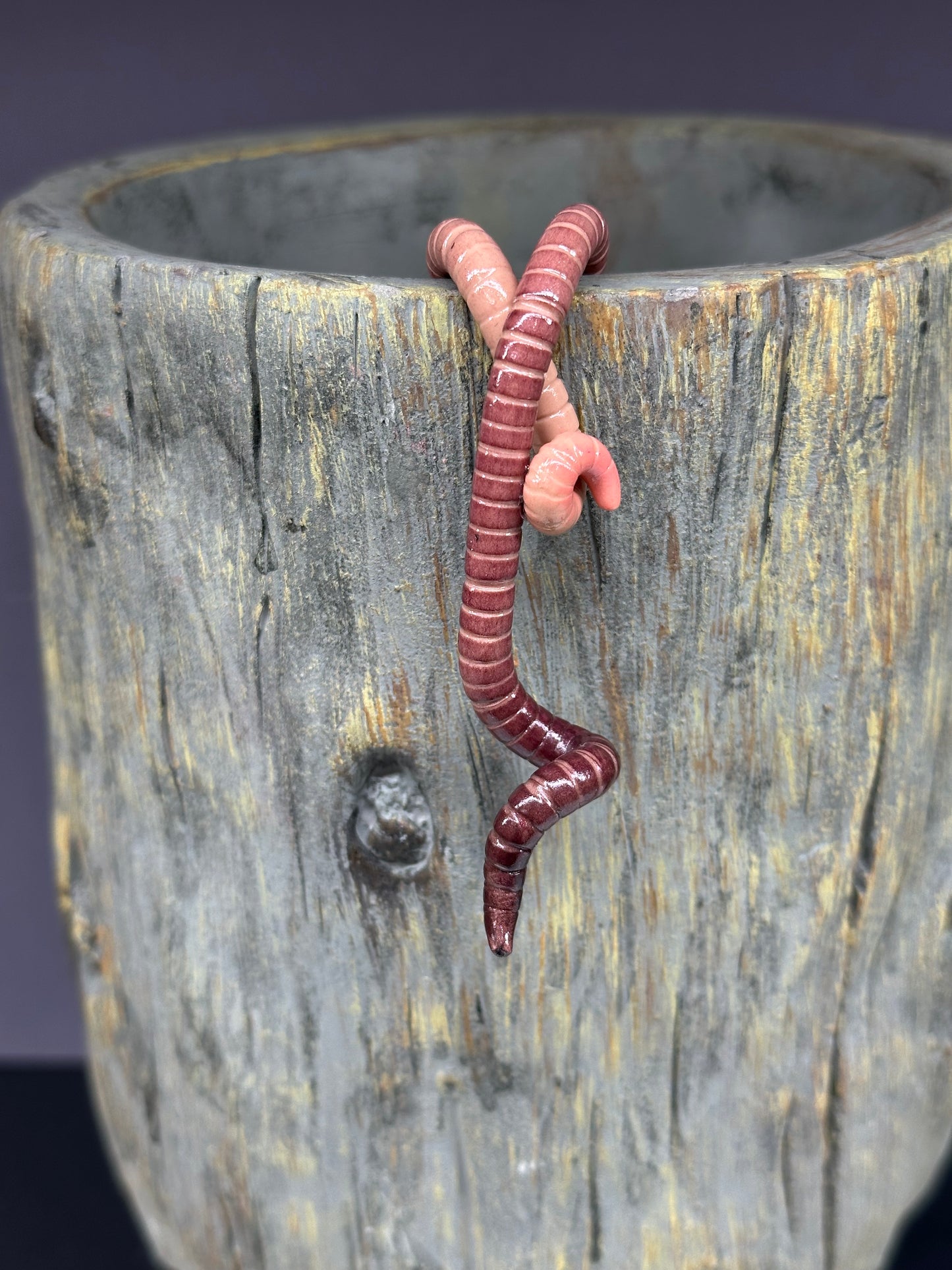 Cutie Crawler Pot Buddy 3