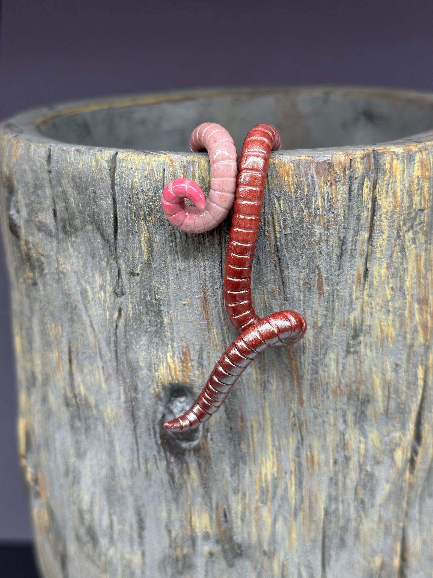 Cutie Crawler Pot Buddy 5
