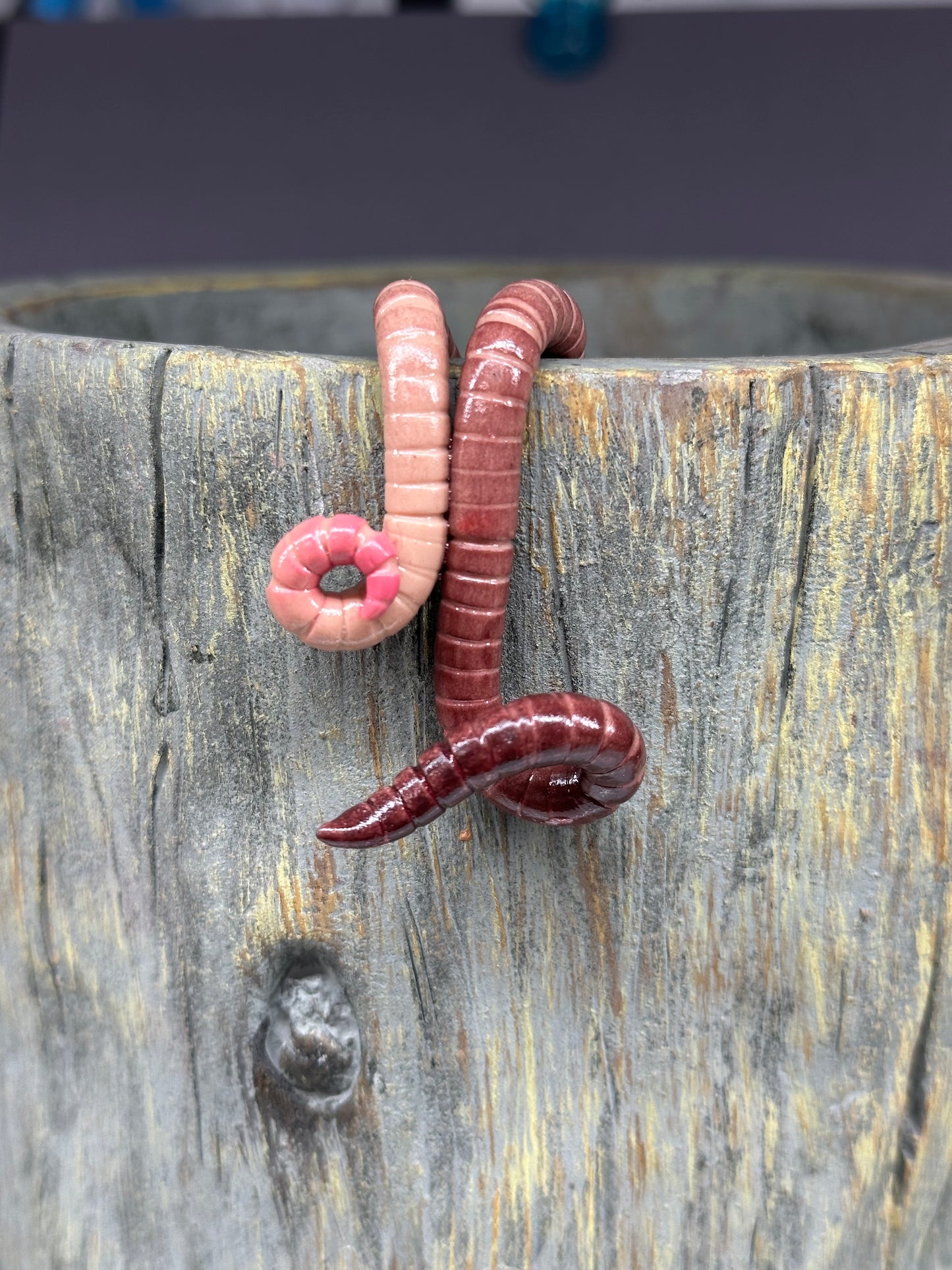Cutie Crawler Pot Buddy 4