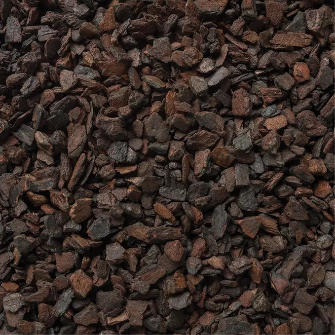 Orchiata Classic (Small) Bark