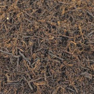 Fernwood Tree Fern Fiber